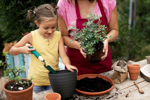 Как комнатные растения вдохновляют детей на заботу о природе